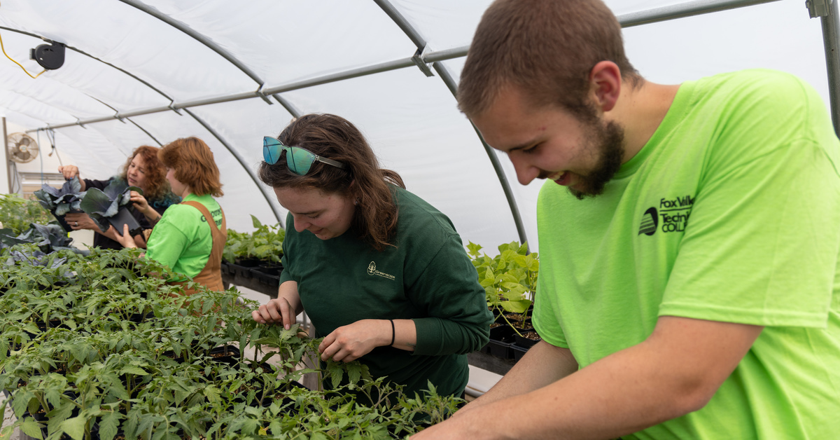 Students working in greenhouse