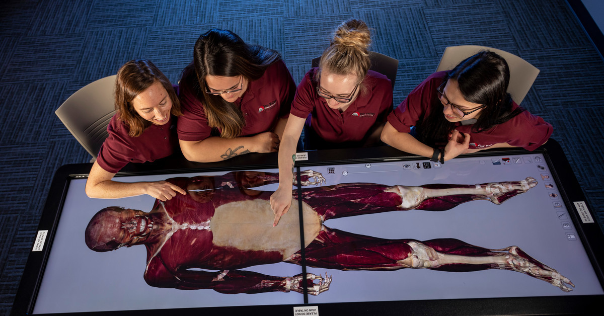 Four students surround the Anatomage table