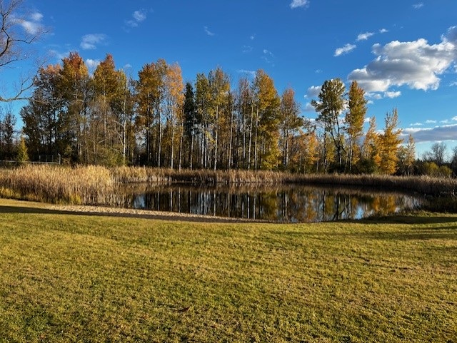 A small pond reflects autumn trees with golden leaves under a bright blue sky with scattered clouds; grass covers the foreground.